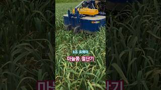 트랙터(8조) 마늘쫑 절단기 #마늘 #마늘쫑 #대서마늘 #마늘쫑절단 #건행농원