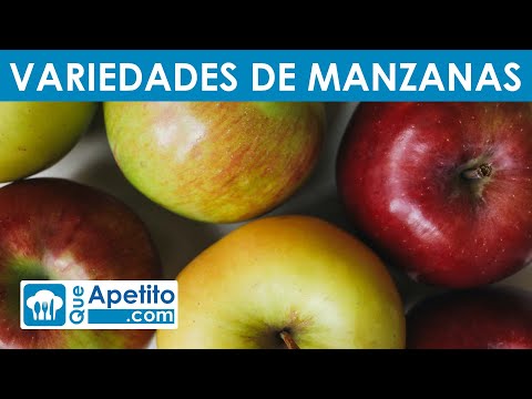 Video: Manzanas tempranas: variedades, características y reseñas