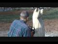 Making a Chainsaw Carved Bear by Perry Rush (Chainsaw Carver) Making a Chainsaw Carved Bear by Perry Rush (Chainsaw Carver)