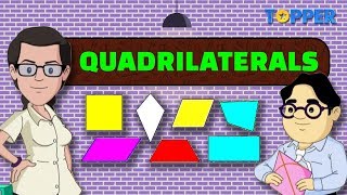 What are Quadrilaterals? | Types of Quadrilaterals | Class 8th Maths |
