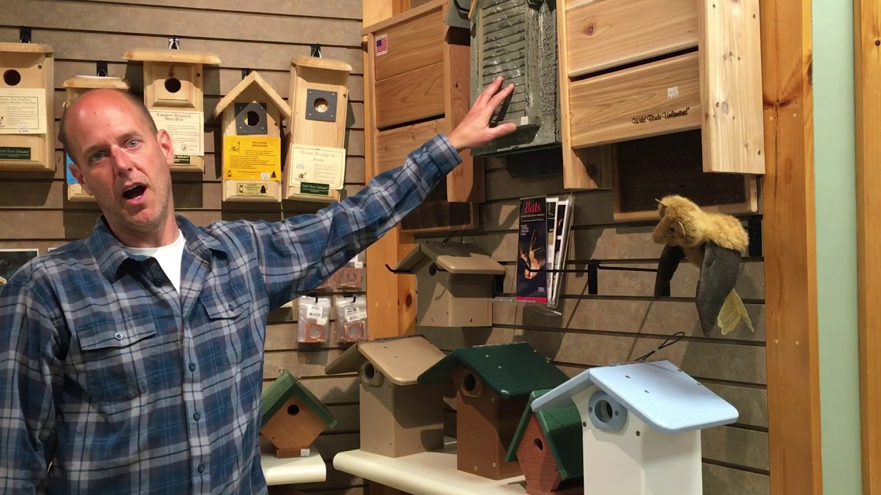 Bat House Benefits YouTube