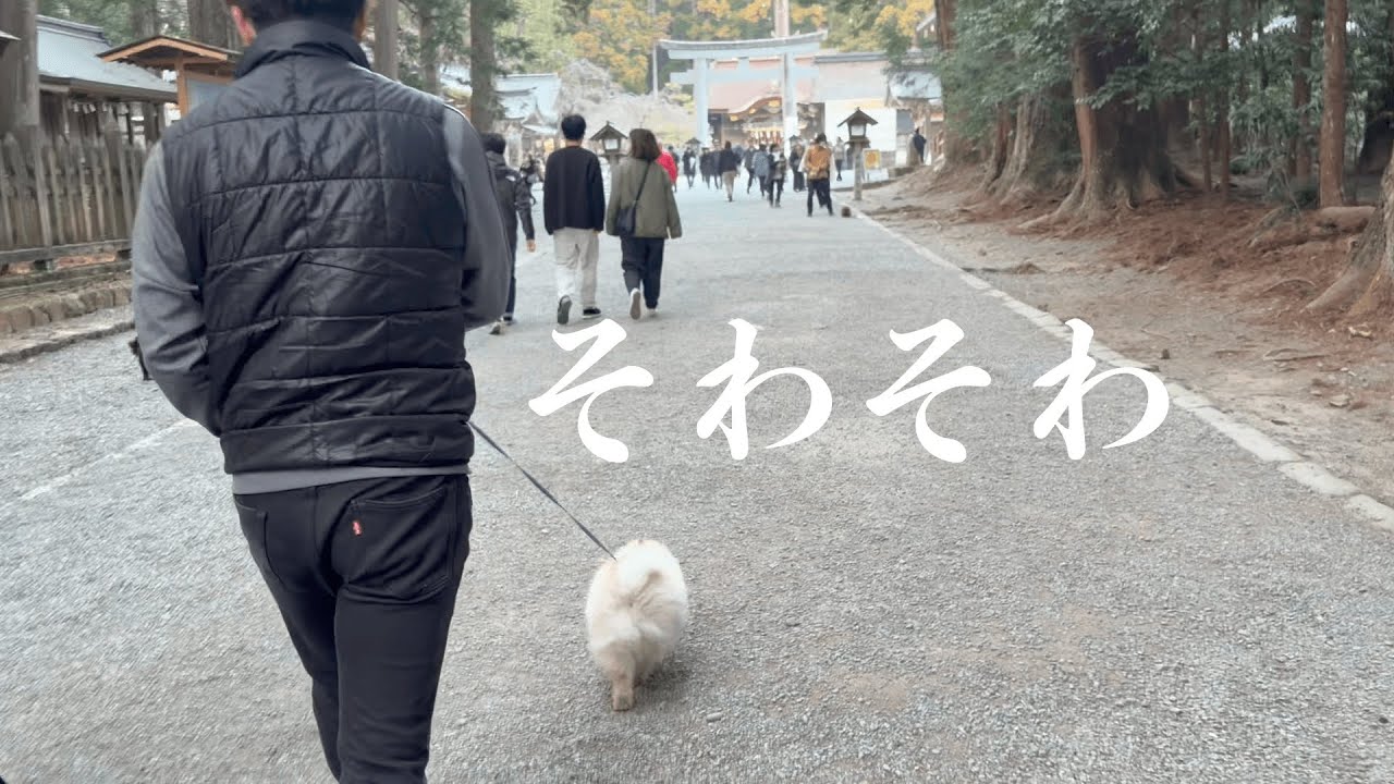 みんなと一緒に初詣でそわそわまめこ