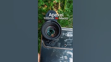 Apexel 100mm 4k Macro Lense 🔥 || Macro Mobile Photography 📷🌿 #nature #macrophotography #macrolens