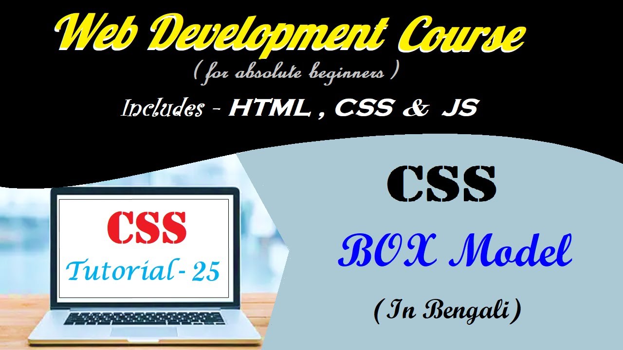 CSS Box Model | Web Development Tutorial in Bengali | 25 - YouTube