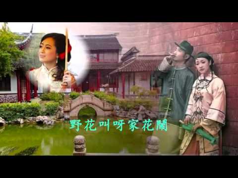 家花那有野花香 Home Flowers Vs Wildflowers   陳潔 Chen Jie