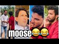 Moose    short.s comedy viral food