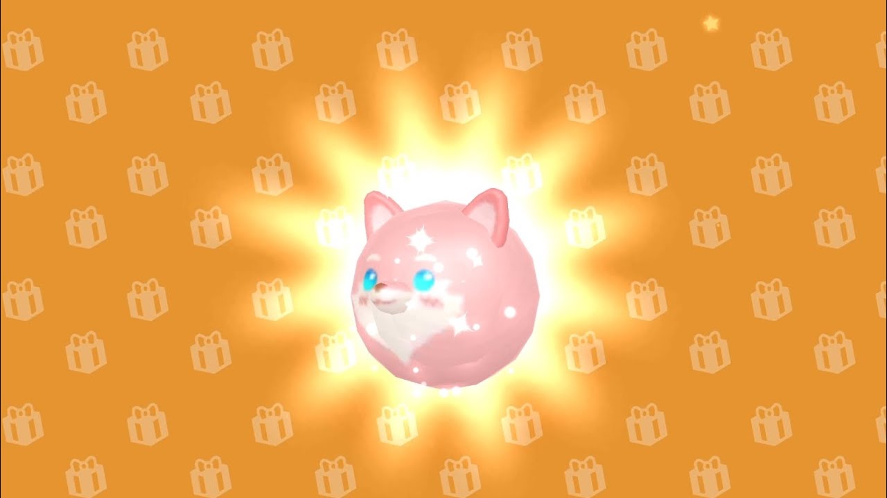 PKXD PET TAKASI|||TİLKİ KİTTY