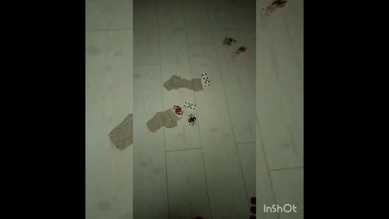 Меджик 5 - YouTube