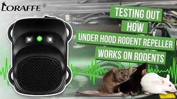 Testing out how Loraffe ZN-508 under hood rodent repellent works on rodents
