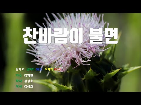 [은성 반주기] 찬바람이불면 - 김지연