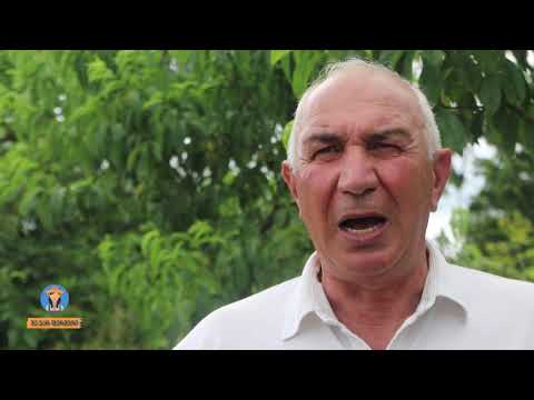 გურიაში ძალიან საინტერესო და მრავალფეროვან სანერგე მეურნეობას მივაკვლიეთ 😍🍃🌿