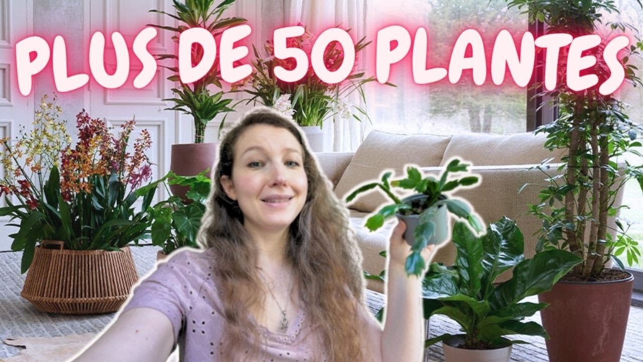 Evolution de ma collection de plantes vertes - Plante Tour dans l'appartement - avant après