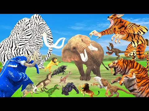 10 Mammoth Elephant Cow vs 10 Giant Tiger Wolf Attack Tiger Cub Hybrid Elephant Zebra Save by Mammot