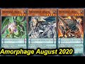 【YGOPRO】AMORPHAGE DECK AUGUST 2020