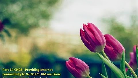 Part 14 CH08 - Providing Internet connectivity to WIN11CL VM via Linux Server Proxy option Session 2