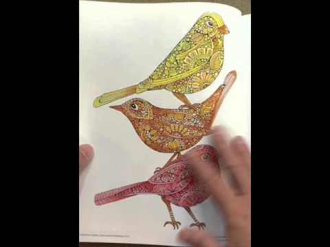 Creative Coloring Birds Art Activity Pages To Relax And Enjoy Flip Through