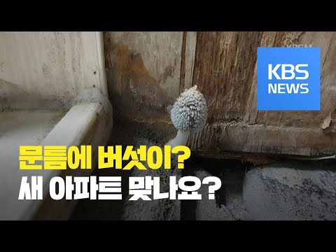 “새 아파트에 곰팡이·버섯까지?”…주민·건설사 갈등 / KBS뉴스(News)