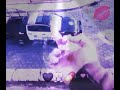 وسل علينا احنا بوادي وعلينا فو ادي