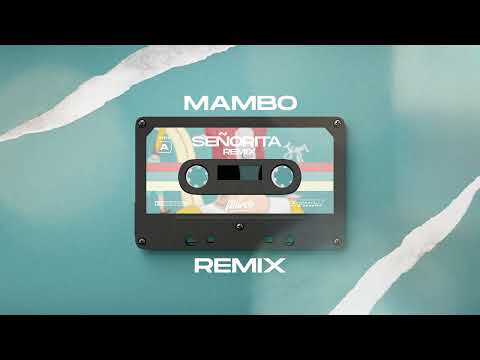 Señorita Remix -