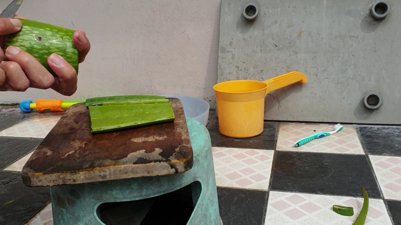 Cara mengolah lidah buaya 