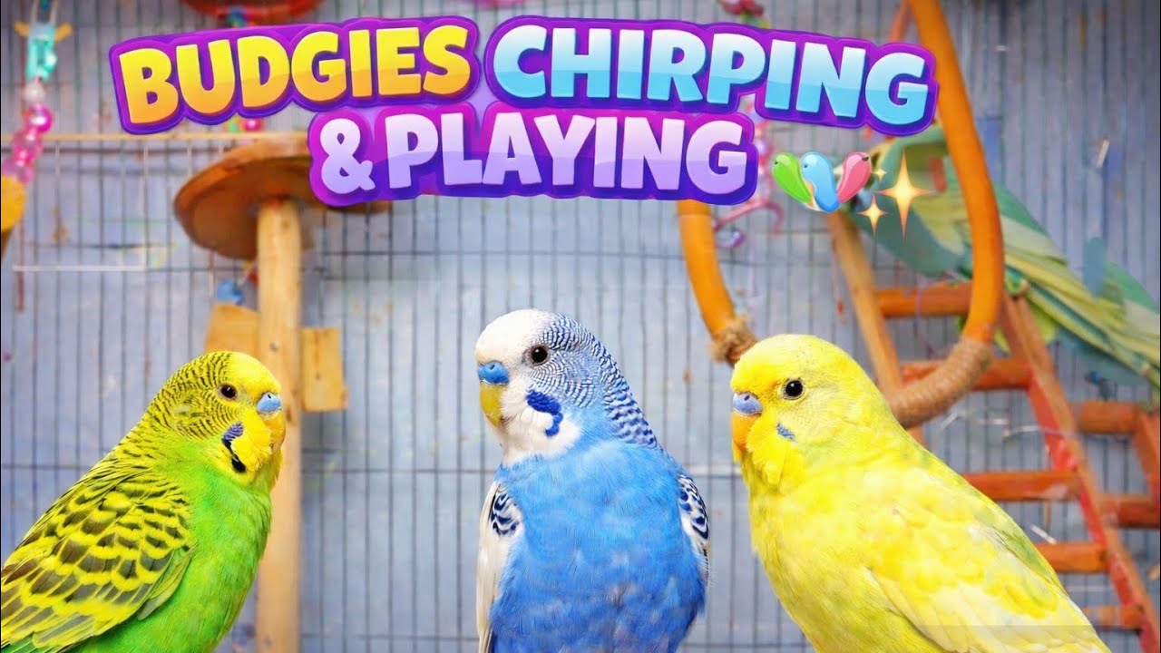 “You Won’t Believe How Cute They Eat! 🐦💛”