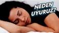 Uyku Sağlığını Korumak ile ilgili video