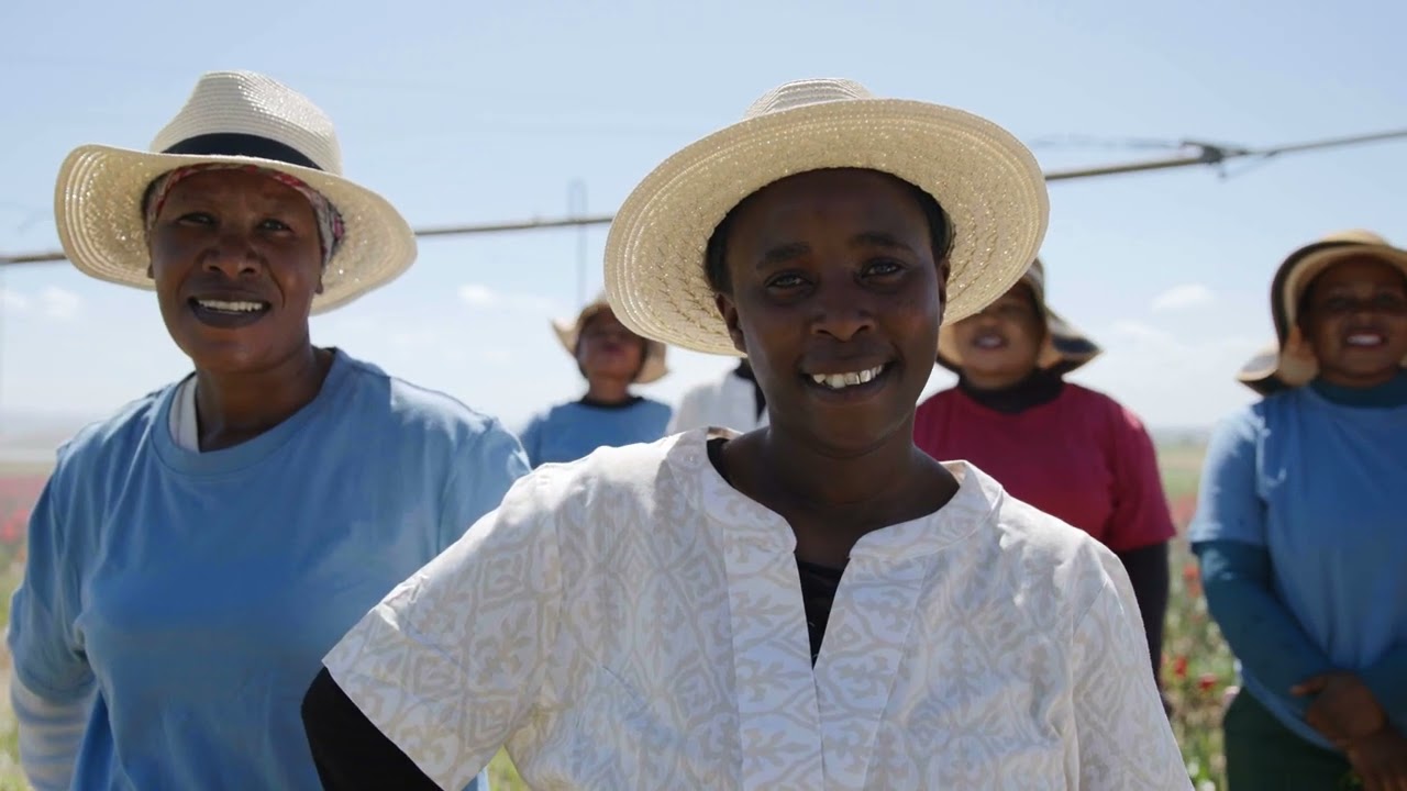 Hadeco Experience the breathtaking beauty of South Africa’s floral heartland.