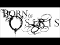 Born of Osiris - Accountable