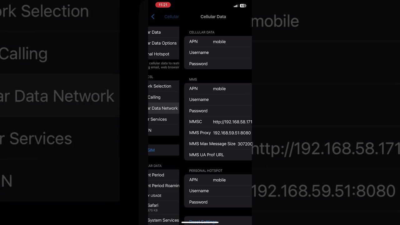 iphone triply-play eiotclub sim apn setting
