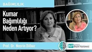 Kumar Bağımlılığı Neden Artıyor?