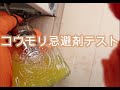 コウモリ忌避剤テスト