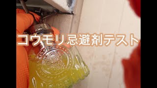 コウモリ忌避剤テスト