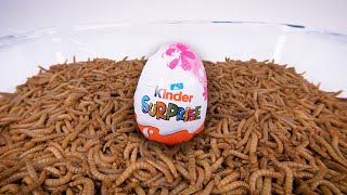This Kinder egg is banned in the US