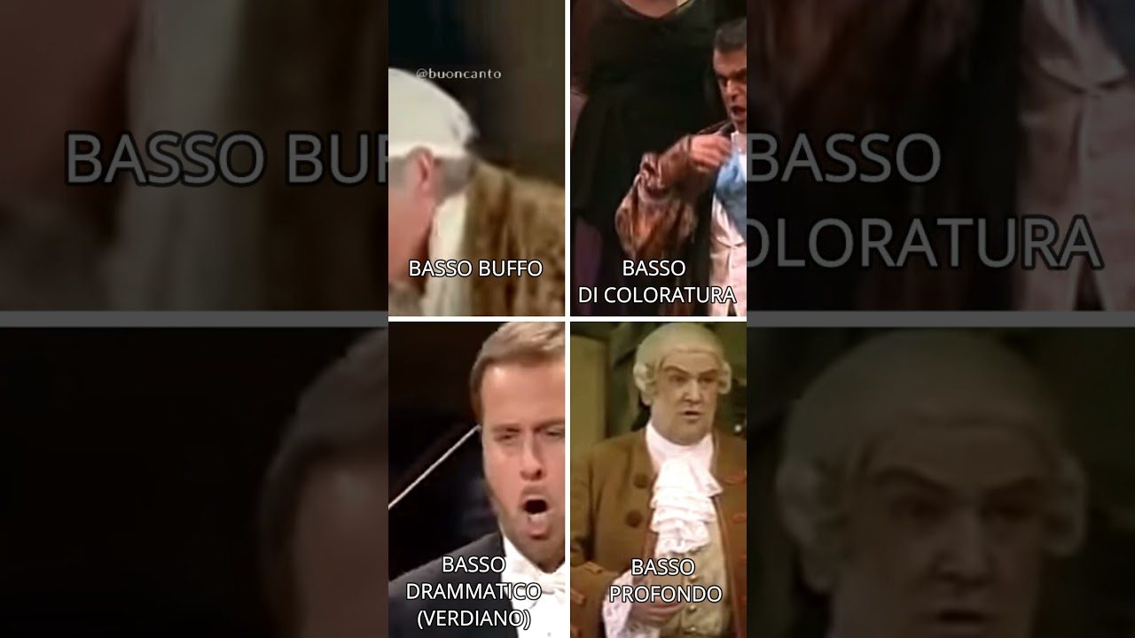 Tipi di basso a confronto! 🤩🎶