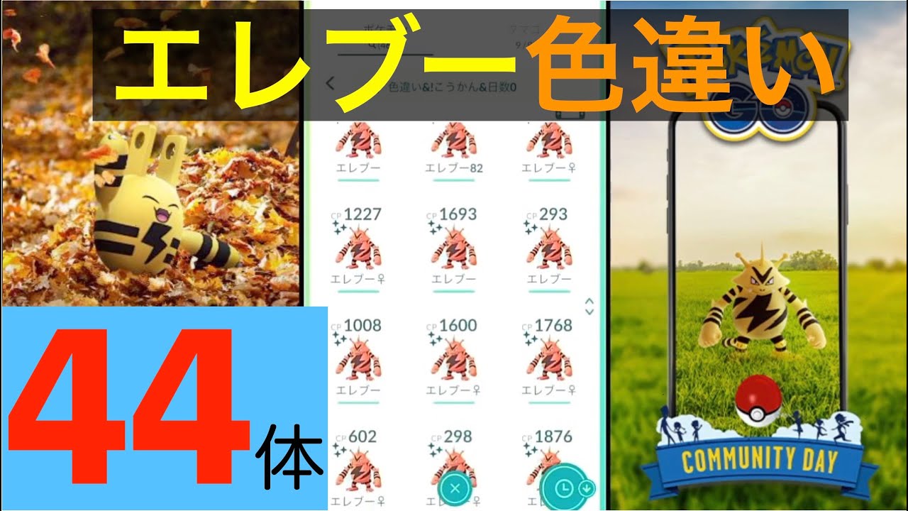 ポケモンgo 色違いエレブー44匹 コミュニティデイ Youtube ポケモンgo 色違いエレブー44匹 コミュニティデイ Youtube