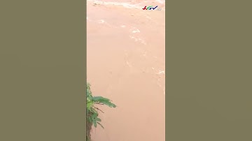 Khẩn trương di dời 12 hộ dân ra khỏi vùng có nguy cơ sạt lở #shortshgtv | Truyền hình Hậu Giang