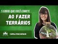 5 erros que voc comete ao fazer terrarios