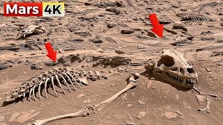 Perseverance Rover Latest Images SOL 1566 | Mars Photos | Perseverance Rover Footage | Mars 4K Video