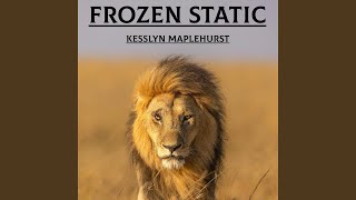 Frozen Static