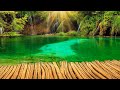 Relaxation and Meditation at this beautiful place - YouTube