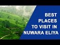 Best Places to Visit in Nuwara Eliya Sri Lanka