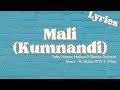 Mali (Kumnandi) (Lyrics) - Toby Franco, Mellow & Sleazy Optimist Music ft. MUSA KEYS & Chley(Lyrics)
