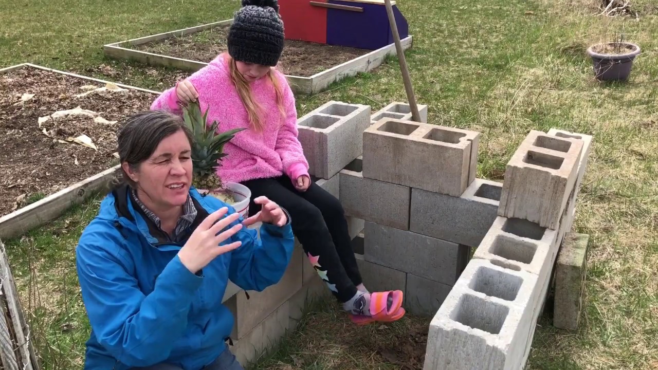 How-To: Composting at Home - 04.29.2020 - YouTube