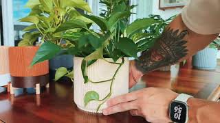 Um pouco do nosso studio - Minima Casa Design