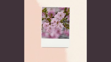 Quiet Backdrops for Recharging Routines