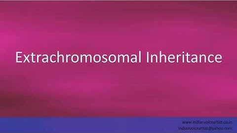 Pronunciation of the word(s) "Extrachromosomal Inheritance".
