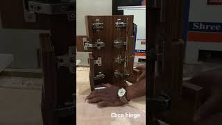 Ebco Hinges