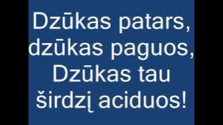Dzūkija   žodžiai