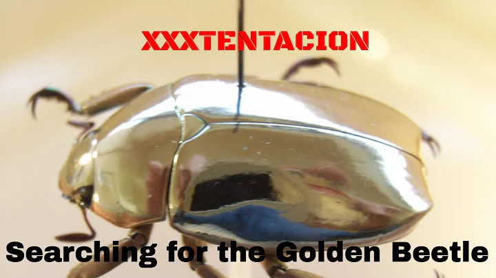 Unveiling the Golden Beetle: XXXTENTACION's Quest for Esoteric Knowledge