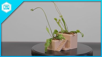 Villa Planter - 3D Printing Timelapse